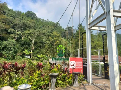 lokasi cafe dancok malang