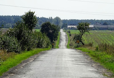 Zdjęcie: