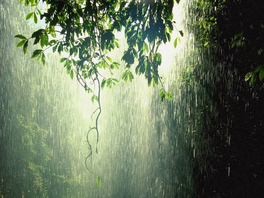 Belajar Islam Blog Keajaiban Quran Air Hujan Itu Tawar Dan Bisa