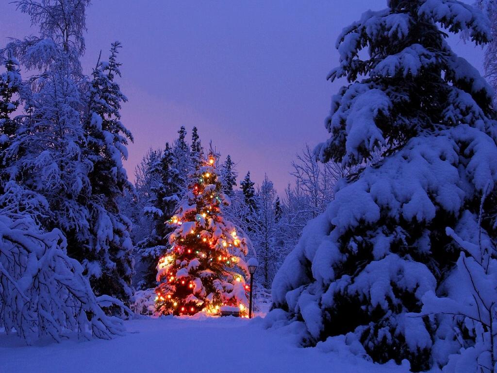 christmas tree snow