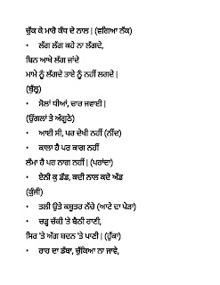 Punjabi Bujartan with Answer Pics