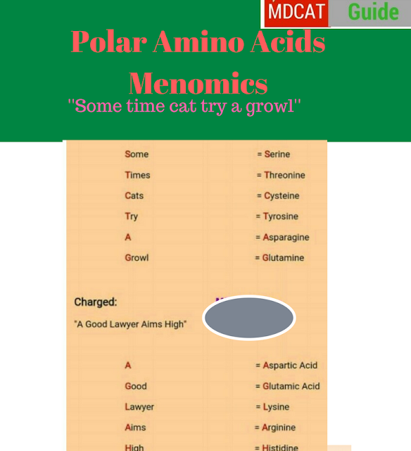 polar amino acids Mnemonics