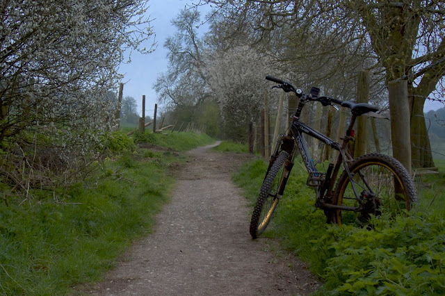 spring blossom off road path
