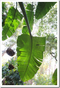 130403_Lotusland_426