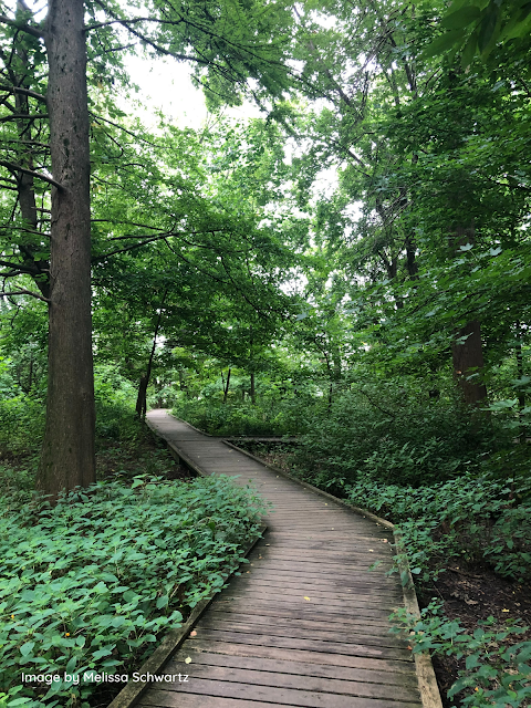 Boardwalk through the wetlands of Bartram's Garden towards the Schuylkill River.