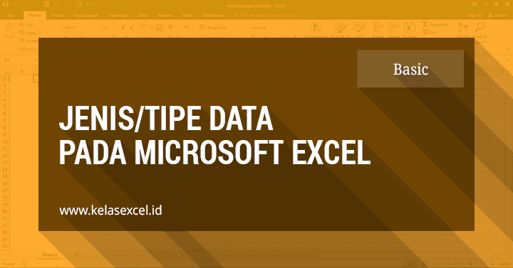 Tipe Data / Jenis Data Pada Microsoft Excel