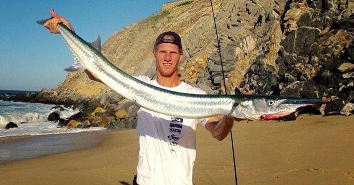 MEXICO: caught world record Pacific needlefish