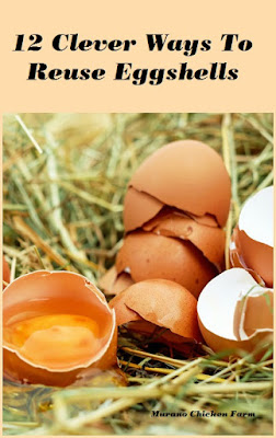 how to | reuse eggshells