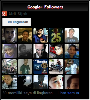 Widget Follower Google +