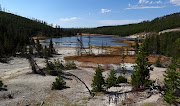 Gold of Autum Found in Yellowstone Park Today