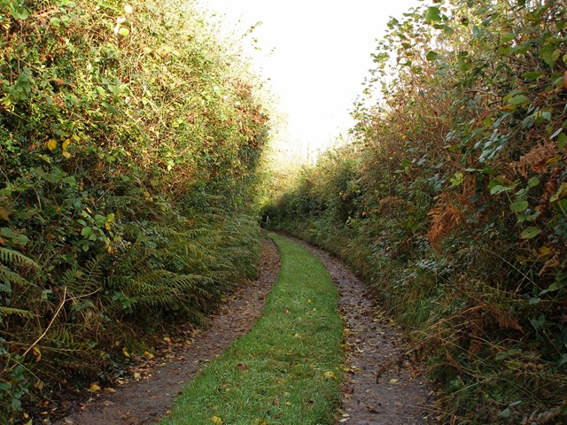 2nd_november_2009