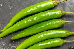 गर्मी में हफ्ते भर ताजी रहे हरी मिर्च, आजमाएं तरीका (Green chillies stay fresh throughout the week in summer, try this method)