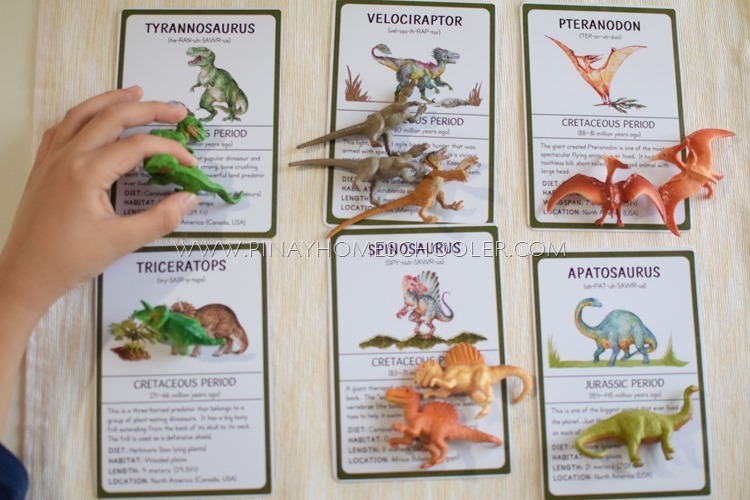 Dinosaurs 3 Part Cards and Information Cards