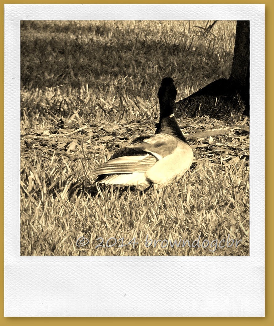 P1370328