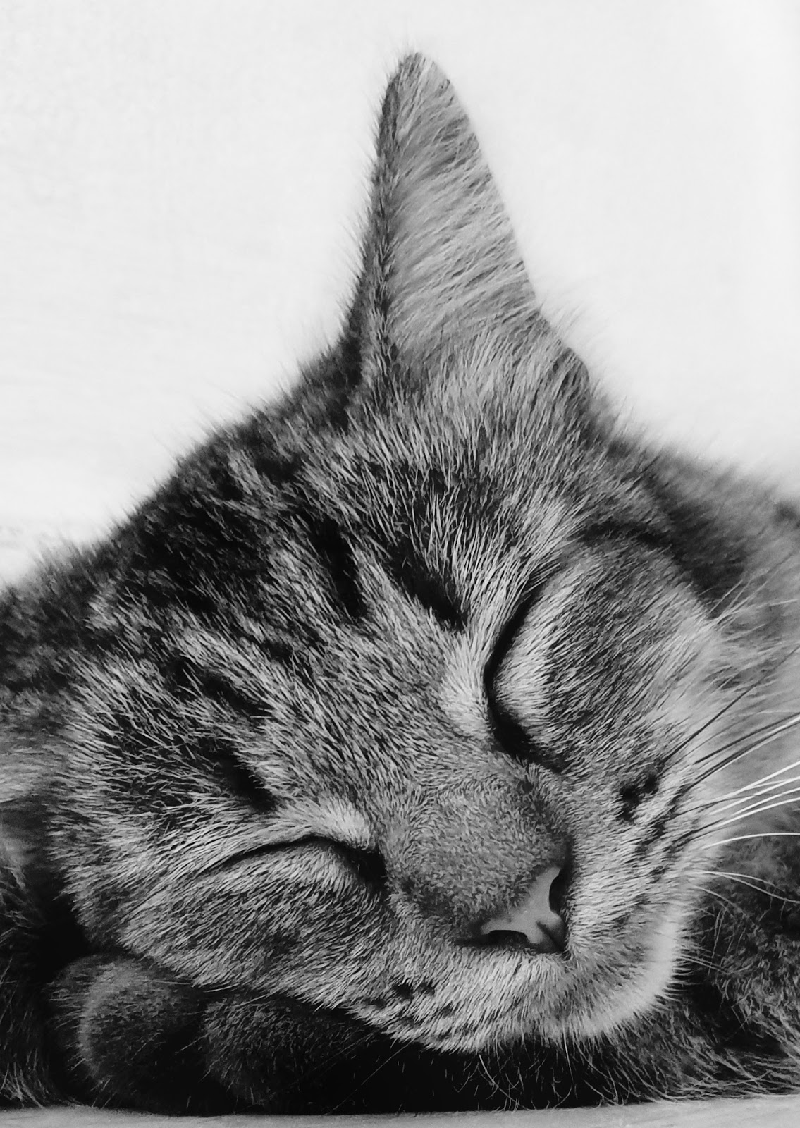 SLEEPING BEAUTY