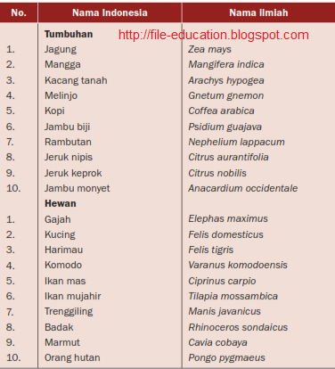 gambar klasifikasi hewan  dan tumbuhan