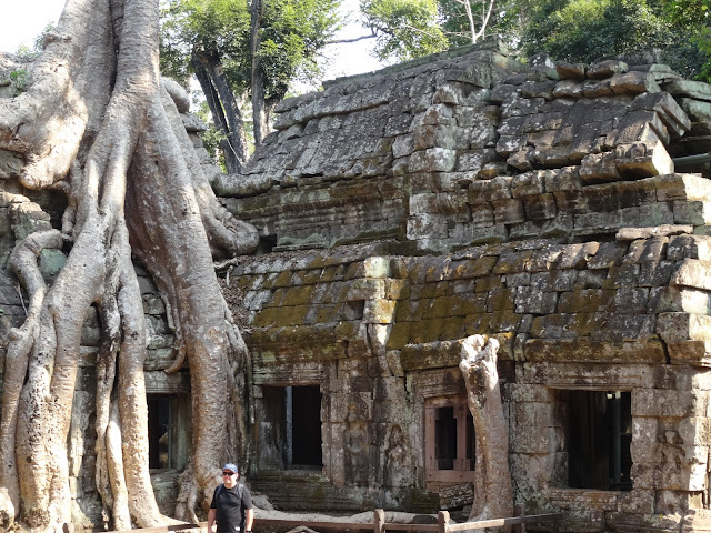 angkor ta prohm siem reap cambodia