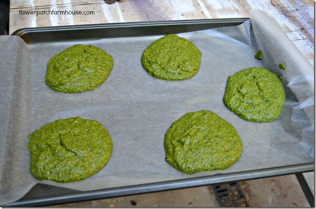 basil patties