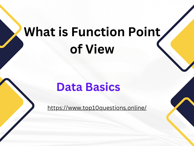 What is Function Point of View Data Basics