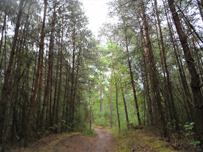 Klein Dochtersche Veld