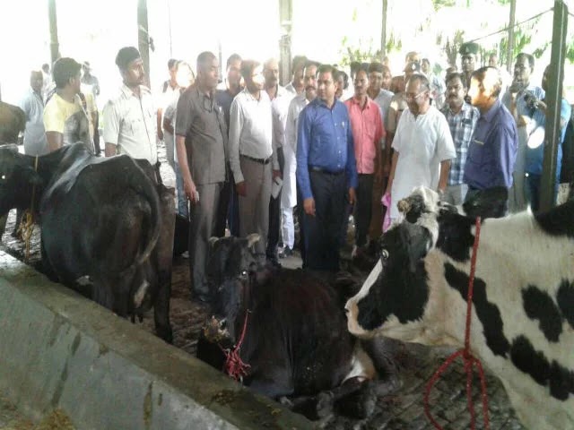 चित्र