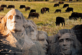 Mt Rushmore, Black Hills Photography, Buffalo, Bison