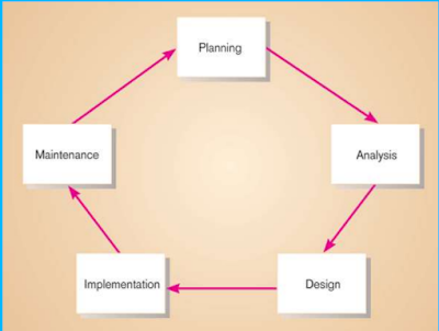 Developing Information Systems and System Development Life Cycle (SDLC)