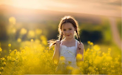 yellow-flowers-background-pics