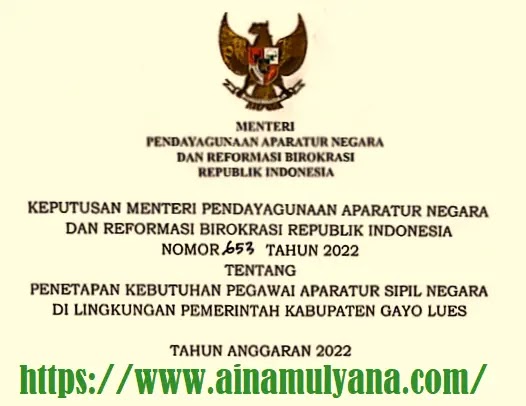 Rincian Formasi ASN PPPK Kabupaten Gayo Lues Provinsi Aceh Tahun 2022