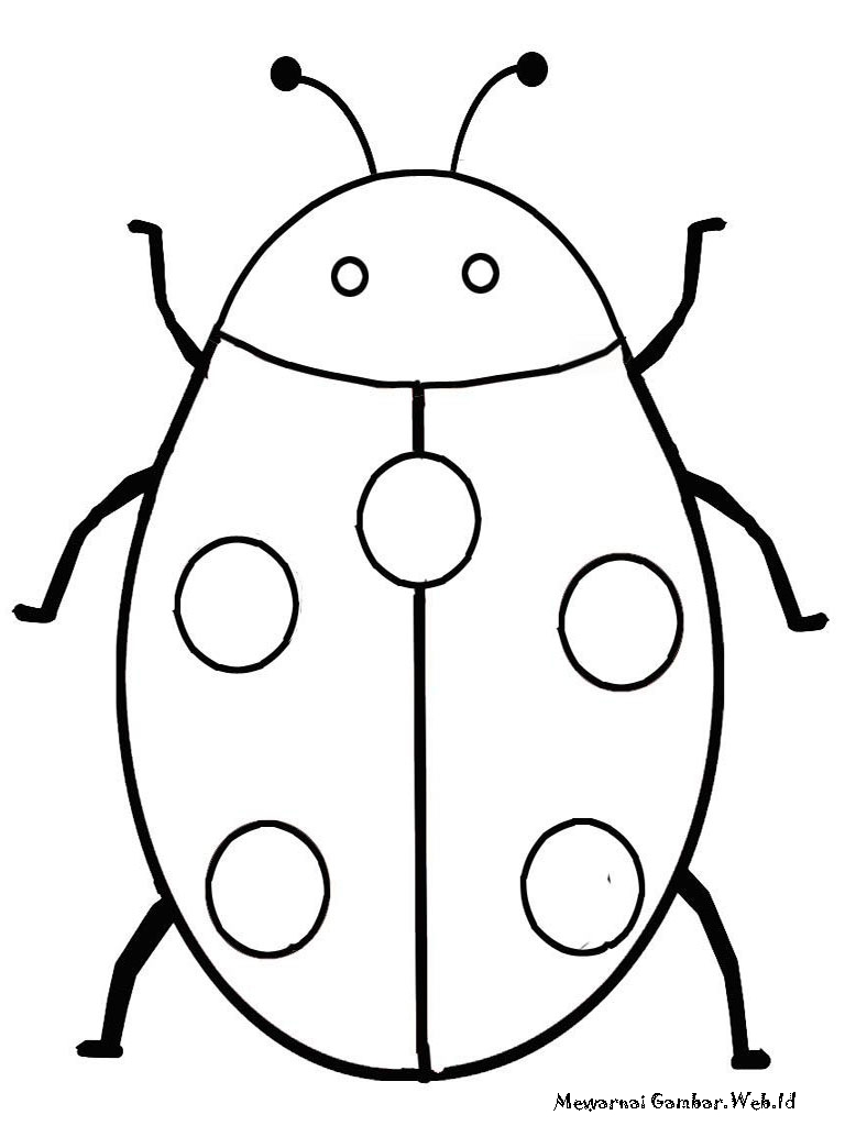 Gambar Sketsa Binatang Serangga