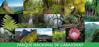 http://www.gobiernodecanarias.org/parquesnacionalesdecanarias/es/Garajonay/