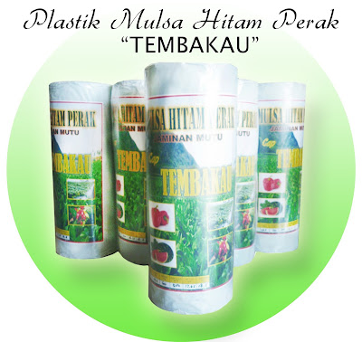 harga mulsa plastik hitam perak 2018,mulsa plastik,daftar harga mulsa plastik,ukuran mulsa plastik,harga mulsa plastik hitam perak per roll,cara memasang mulsa plastik,pengganti mulsa plastik,harga plastik mulsa eceran,panjang mulsa 1 rol,harga plastik mulsa untuk tanaman cabe,jual mulsa plastik di sidoarjo,jual mulsa plastik di jakarta,jual mulsa plastik di semarang,jual mulsa plastik di surabaya,jual mulsa plastik di makassar