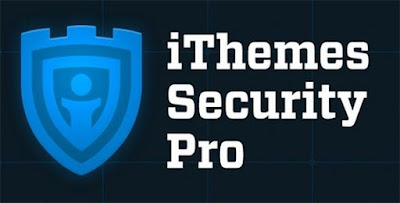 ITHEMES SECURITY PRO V4.9.0 Nulled