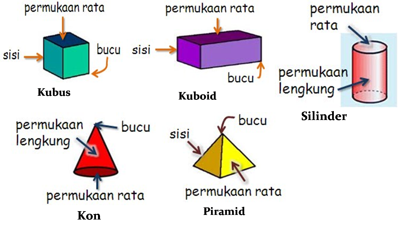 Bentuk Tiga Dimensi (3D)  Matematik: Bentuk dan Ruang