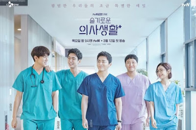 drama hospital playlist season 1