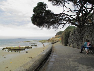 ptlonsdale1 (Medium)