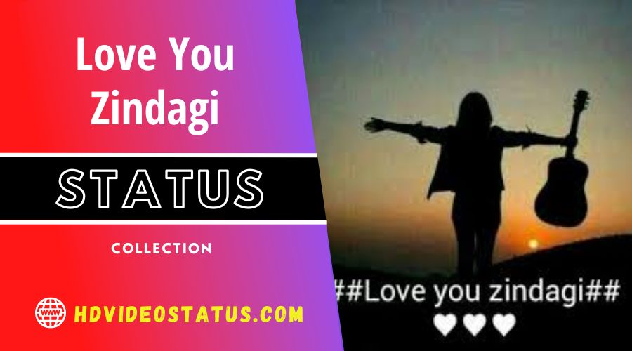 Love You Zindagi Status Video Download - hdvideostatus.com