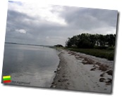 IMG_4949c