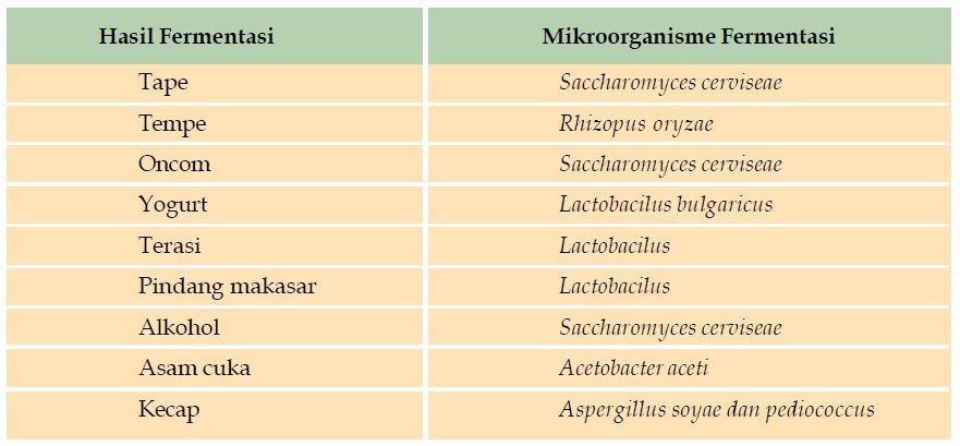 Pengertian Bioteknologi Konvensional Dan Modern Serta 