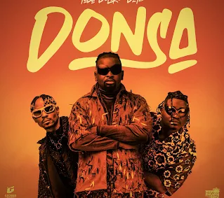 Yaba Buluku Boyz - Donsa (Single)