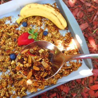 gluten free and vegan berry coconut granola recipe