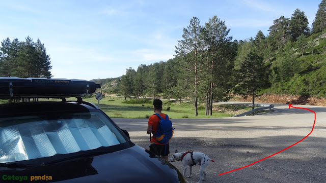 Ruta al Cerro Mogorrita, techo de Cuenca en la Sierra de Valdeminguete, en la Serranía de Cuenca.