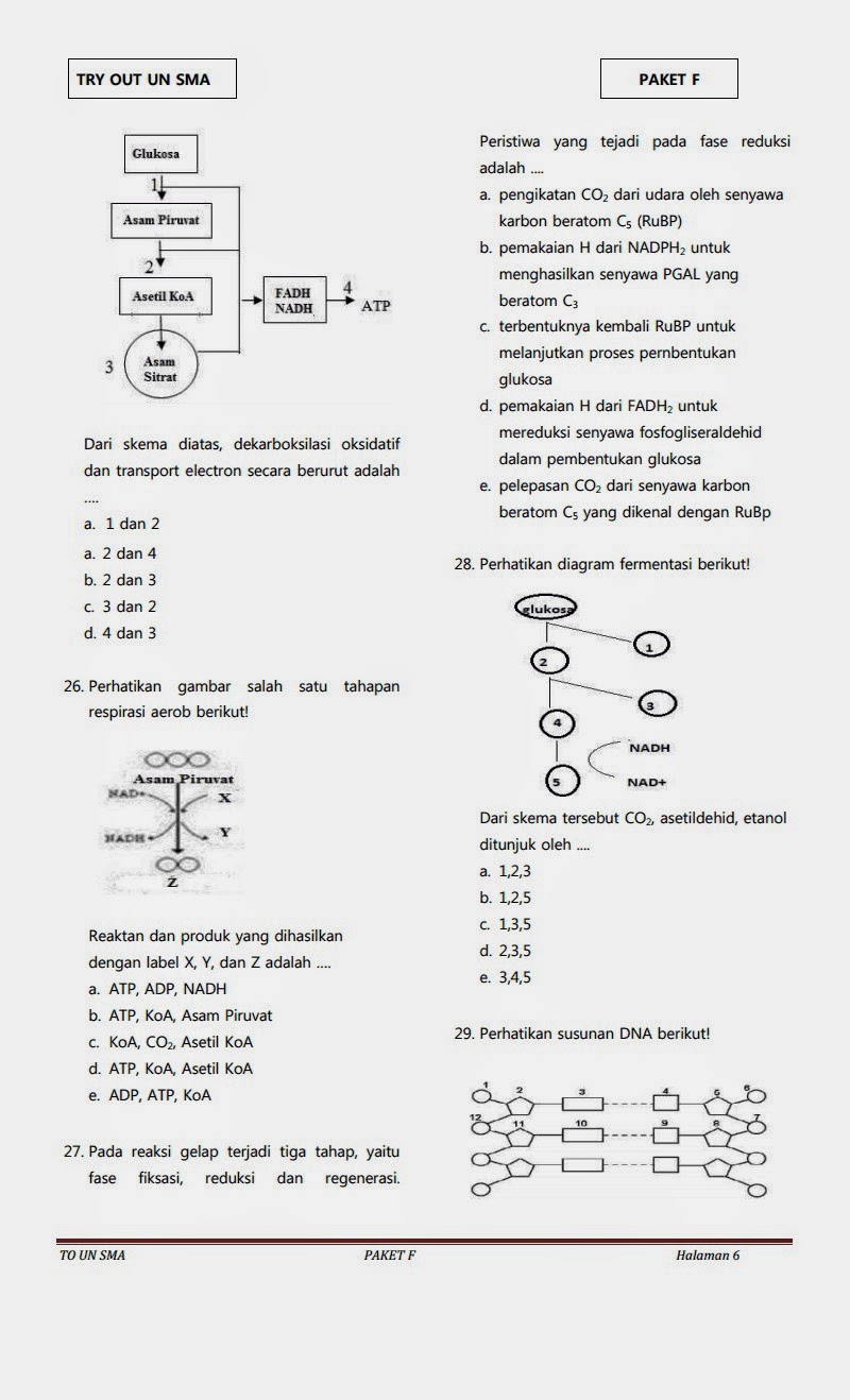 BIOLOGI GONZAGA: PREDIKSI UN BIOLOGI 2014 A