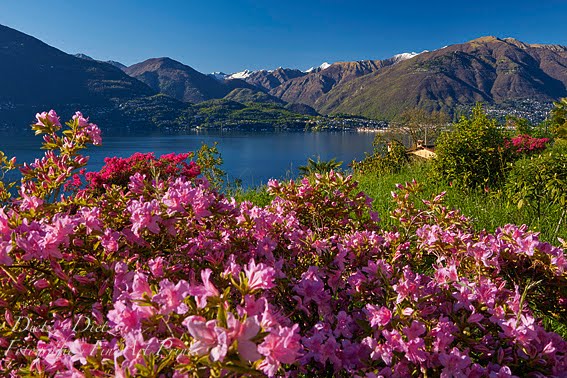 Lago Maggiore, Gambarogno (TI) - 19.04.2016