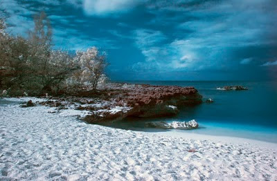 Smith Cove, Grand Cayman, in infrared