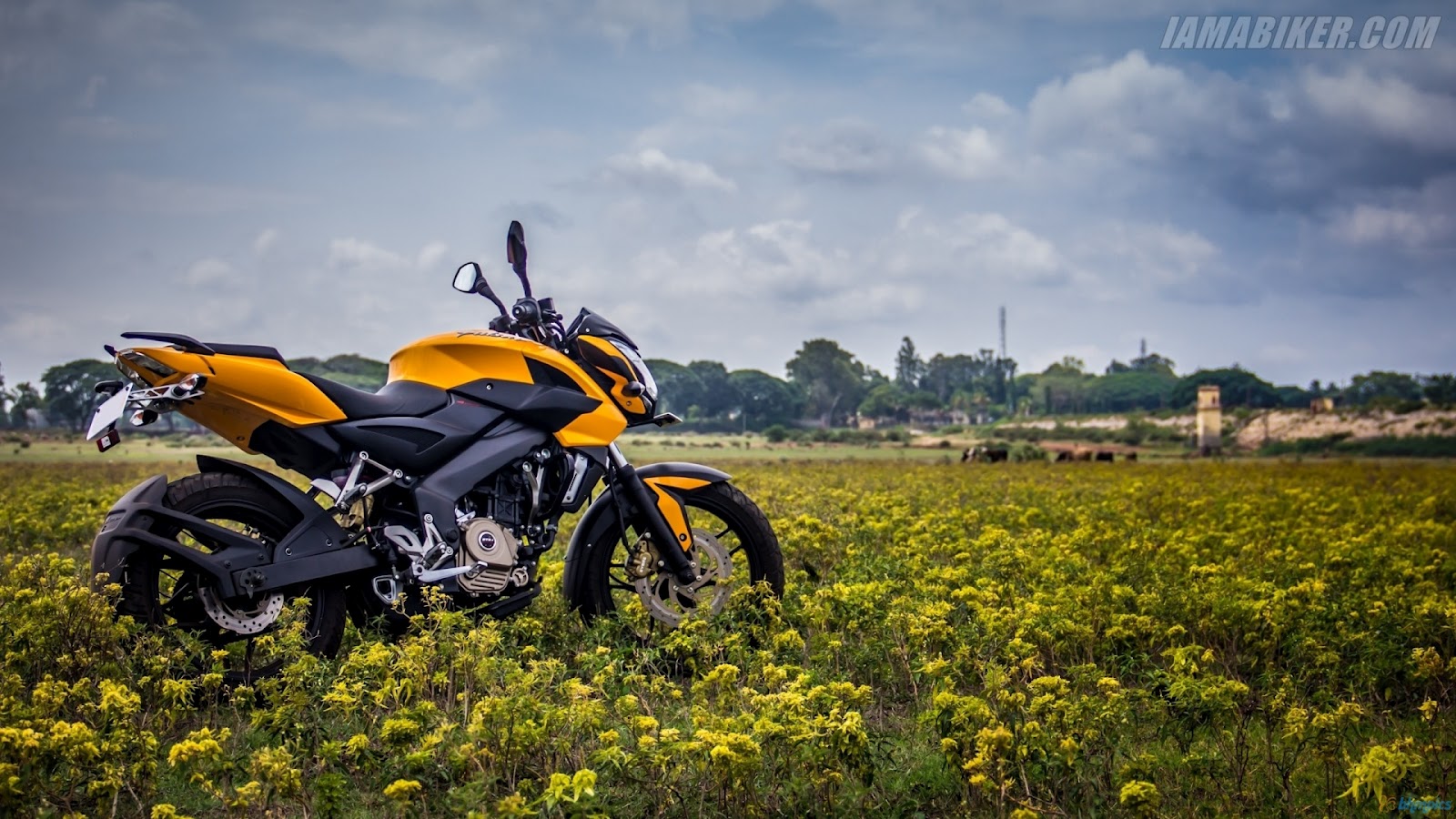 ... /Music/Business/Glamour/Sports/News|Others....: Bajaj Pulsar Bikes