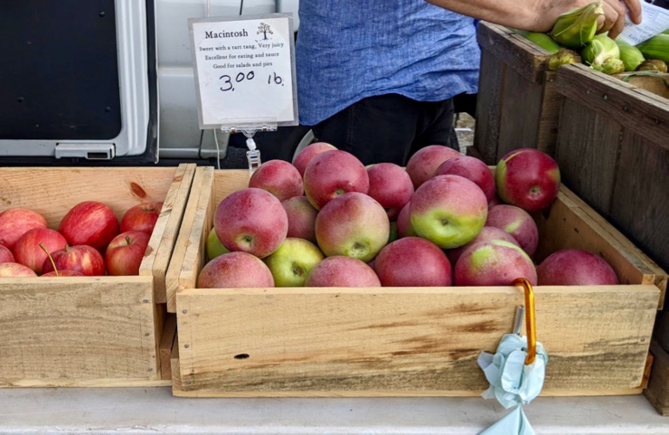 Red apples in a wooden bin, with a sign that reads "McIntosh"