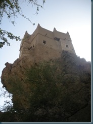DSCN0928