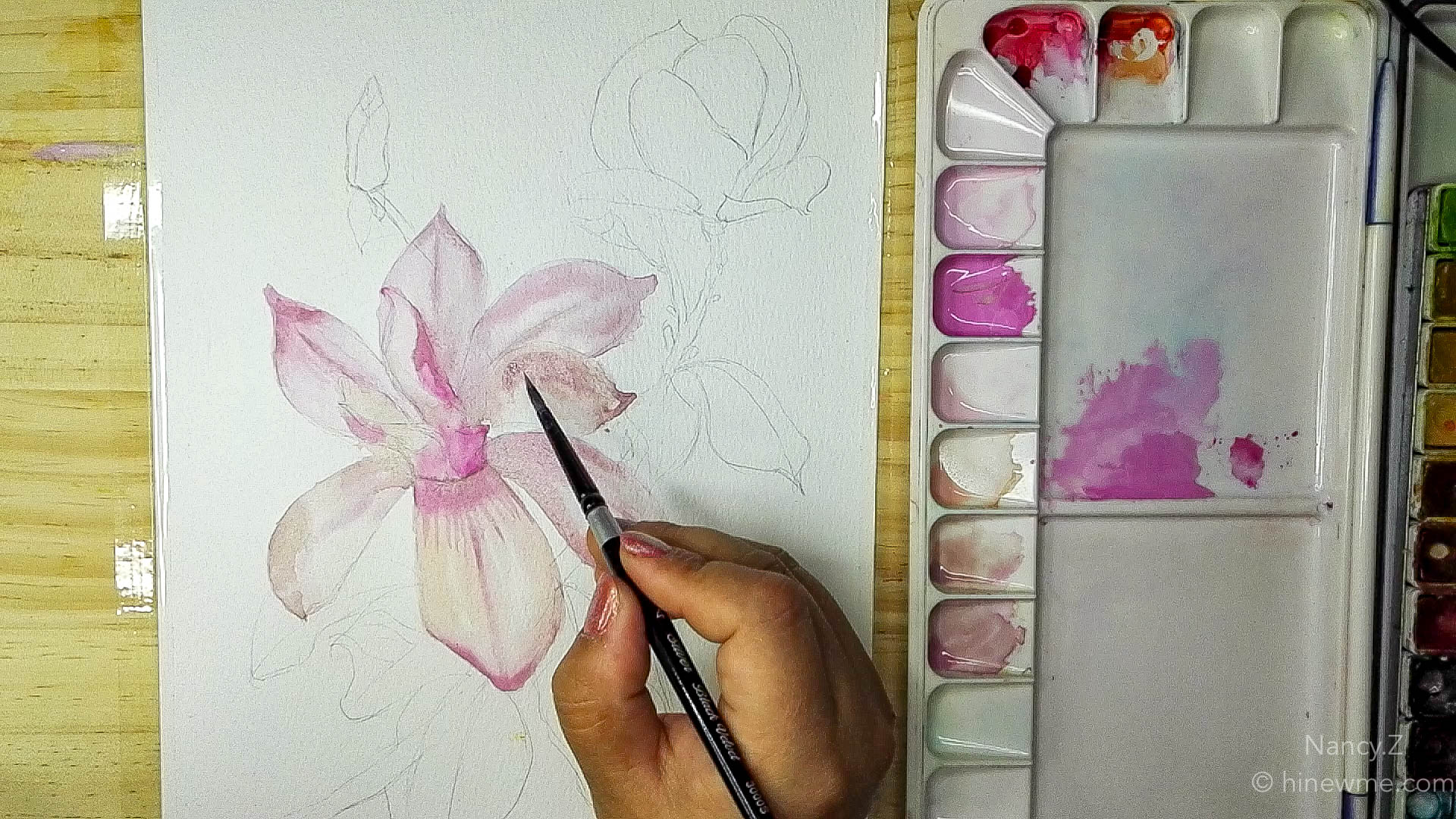 How to draw watercolor magnolia flowers step by step tutorial, come to see my online class