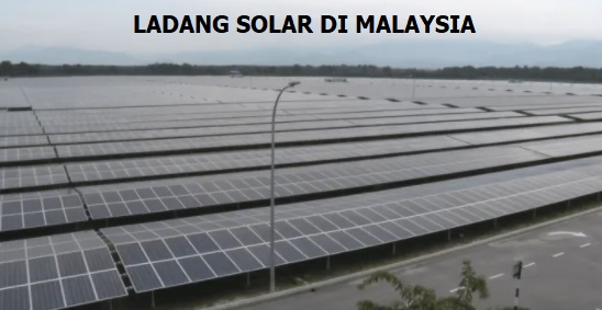 Anim Agro Technology Pertanian Dibawah Panel Solar